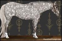 Horse Color:Silver Blue Roan Snowflake Varnish