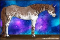 Horse Color:White Spotted Red Roan 
