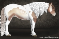 Horse Color:Blue Onyx Pearl Sabino Tobiano