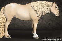 Horse Color:Gold Champagne Pearl Sabino Rabicano
