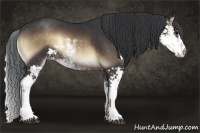 Horse Color:Brown Pearl Onyx Sabino