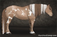 Horse Color:White Spotted Black Pearl 