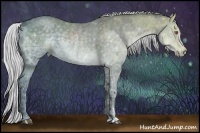 Horse Color:Silver Black Chinchilla Ice Sabino