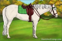 Horse Color:Cremello  and Cremello 