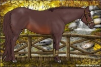 Horse Color:Chocolate Brown 
