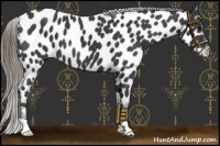 Horse Color:Smoky Black Near Leopard 