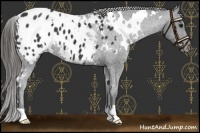 Horse Color:White Spotted Black Varnish 