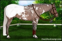 Horse Color:White Spotted Silver Brown Roan Snowcap 