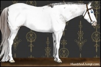 Horse Color:White Spotted Liver Chestnut Splash Snowcap 