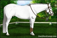 Horse Color:White Spotted Brown Roan Dun Snowflake Varnish