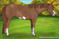 Horse Color:Chestnut Splash Frame  and Chestnut Splash Frame 