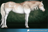 Horse Color:White Spotted Liver Red Dun Pearl Mushroom Splash Rabicano 