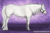 Horse Color:Cremello Dun 