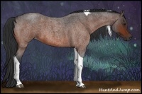 Horse Color:Bay Roan Tobiano 