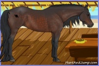 Horse Color:Brown 