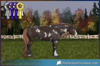 Horse Color:White Spotted Liver Chestnut Sabino