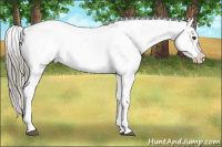 Horse Color:Liver Red Dun Mushroom Fewspot Brindle 