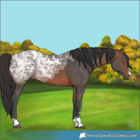 Horse Color:Brown Ice 