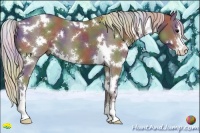 Horse Color:Nacre White Spotted Silver Black Sabino