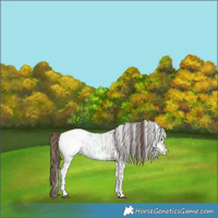 Horse Color:White Spotted Grullo Ice Snowcap Rabicano  and White Spotted Brown Ice Dun Snowcap Rabicano 