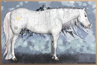 Horse Color:White Spotted Grullo Chinchilla Ice Onyx Appaloosa Rabicano and White Spotted Silver Grullo Chinchilla Ice Onyx Frame Appaloosa Rabicano