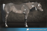 Horse Color:Grullo Tobiano Rabicano Brindle  and White Spotted Grullo Rabicano Brindle 