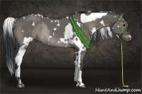 Horse Color:Grullo Tobiano Rabicano Brindle and White Spotted Grullo Rabicano Brindle