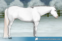 Horse Color:Watercolor Grullo Pearl Snowcap Rabicano  and Silver Smoky Grullo Roan Pearl Snowcap Rabicano 