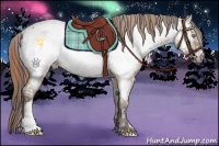 Horse Color:Smoky Grullo Pearl Near Fewspot Rabicano and Liver Red Dun Near Fewspot Rabicano