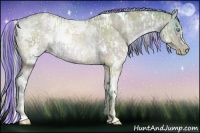 Horse Color:Painted Watercolor White Spotted Grullo Pearl Rabicano  and Painted Watercolor White Spotted Brown Pearl Dun Rabicano