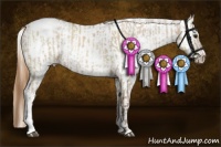 Horse Color:White Spotted Grullo Pearl Sabino Appaloosa Rabicano Brindle  and Grullo Pearl Sabino Appaloosa Rabicano Brindle 