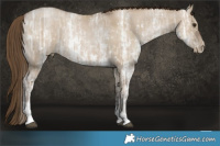 Horse Color:Gray Grullo Ice Pearl Tobiano Rabicano and Gray Grullo Ice Pearl Sabino Rabicano