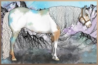 Horse Color:Silver Amber Champagne Frame 
