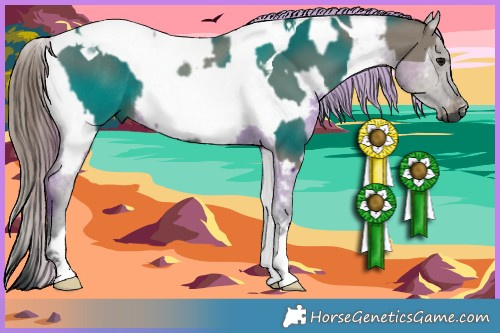 Horse Color:Grullo Tobiano Rabicano  and White Spotted Grullo Appaloosa Rabicano 