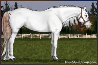 Horse Color:White Spotted Grullo Near Fewspot Rabicano  and White Spotted Bay Dun Near Fewspot Rabicano 