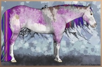 Horse Color:Painted White Spotted Chocolate Grullo Chinchilla Rabicano and Painted Grullo Chinchilla Sabino Rabicano