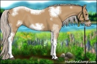 Horse Color:Silver Bay Dun Sabino Tobiano Frame Rabicano