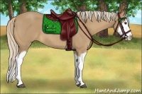 Horse Color:Palomino Roan Splash 