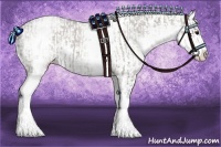 Horse Color:White Spotted Grullo Appaloosa Rabicano  and White Spotted Classic Champagne Dun Appaloosa Rabicano 