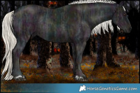 Horse Color:Midnight Liver Chestnut Ice Mushroom Rabicano and Midnight Liver Chestnut Ice Mushroom Rabicano