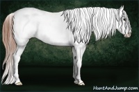 Horse Color:Classic Champagne Roan Blanket