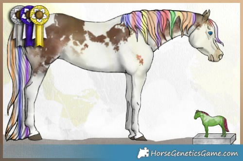 Horse Color:Painted White Spotted Liver Chestnut Mushroom Splash Tobiano 