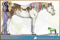 Horse Color:Painted White Spotted Liver Chestnut Mushroom Splash Tobiano 