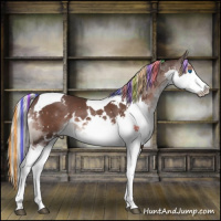 Horse Color:Painted White Spotted Liver Chestnut Mushroom Splash Tobiano 