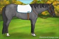 Horse Color:Smoky Blue Roan 