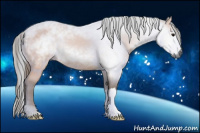 Horse Color:Gray Bay 