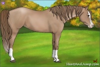 Horse Color:Black Pearl Splash