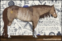 Horse Color:Liver Red Dun Rabicano