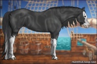 Horse Color:Black Splash