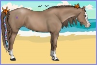 Horse Color:Black Pearl Splash 